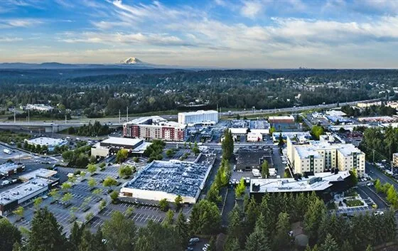 Bellevue Home Care